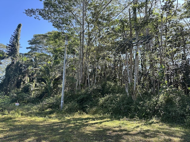 Hyla Cir, Pahoa HI, 96778 land for sale