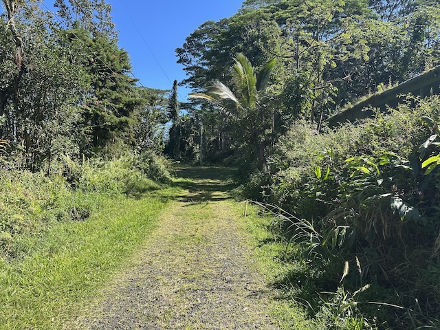 Listing photo 2 for Hyla Cir, Pahoa HI 96778