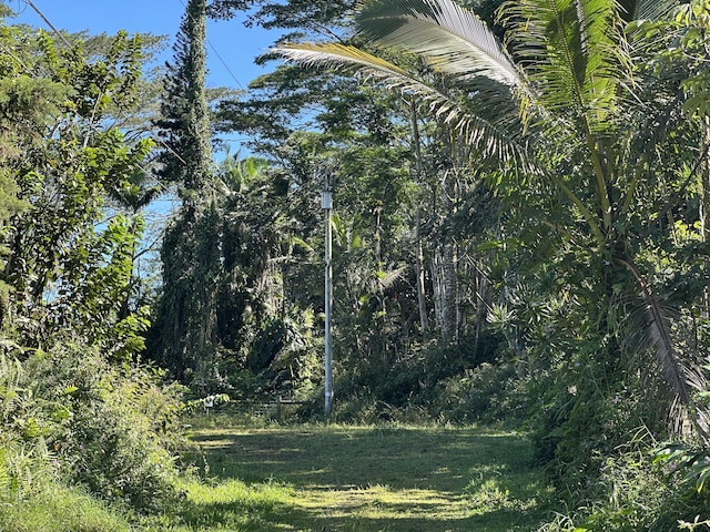 Listing photo 3 for Hyla Cir, Pahoa HI 96778