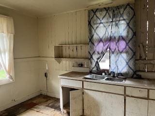 kitchen featuring sink