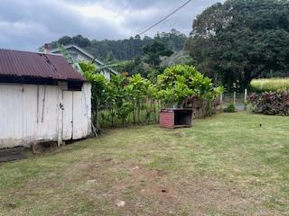 view of yard featuring a storage unit