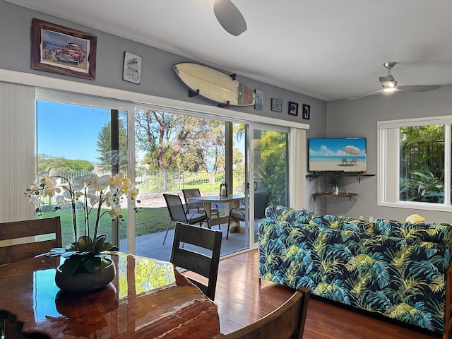 dining room featuring ceiling fan and hardwood / wood-style flooring