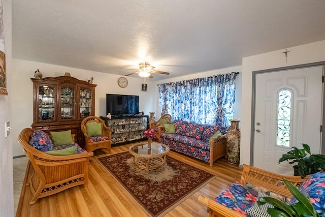 living room with ceiling fan and hardwood / wood-style floors