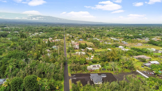 aerial view with a mountain view