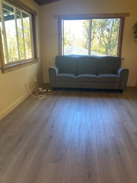 living room featuring wood-type flooring and plenty of natural light