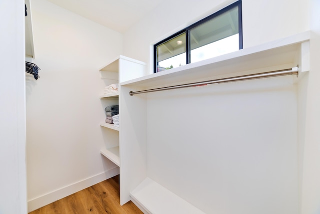 spacious closet featuring light hardwood / wood-style floors