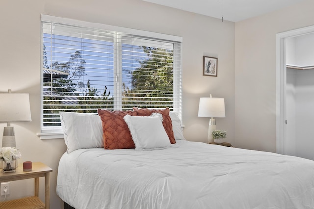 bedroom with a spacious closet and multiple windows