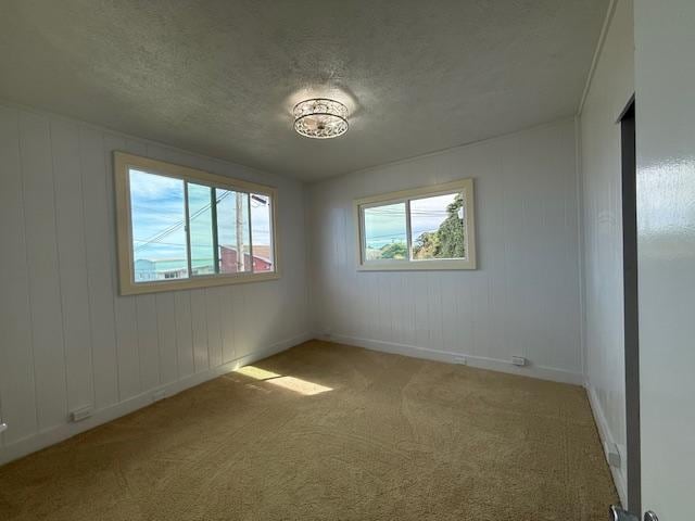 spare room with carpet floors