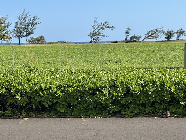 view of yard featuring a rural view