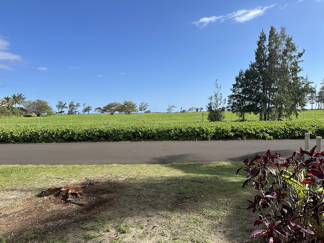 view of yard featuring a rural view