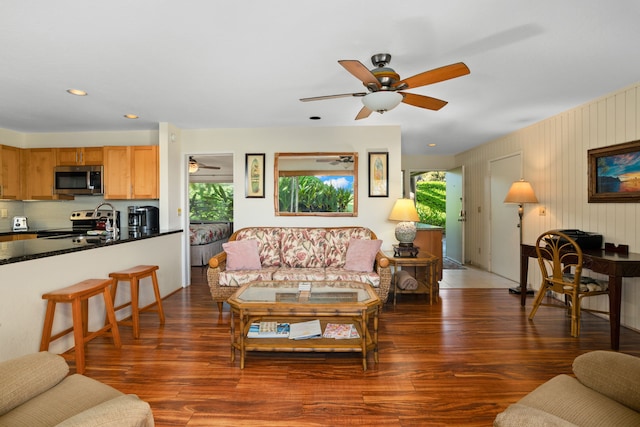 living room featuring dark hardwood / wood-style floors and a wealth of natural light