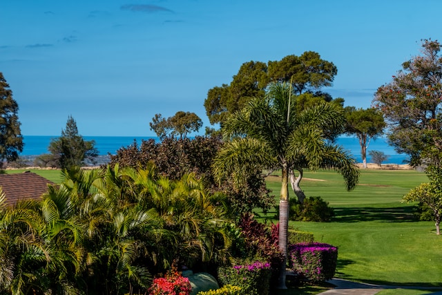 view of community featuring a water view and a yard