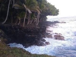 view of local wilderness with a water view