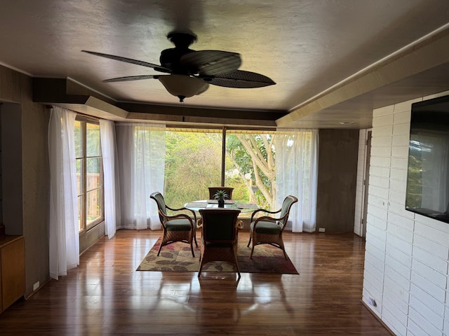 dining area with ceiling fan, hardwood / wood-style floors, and a textured ceiling