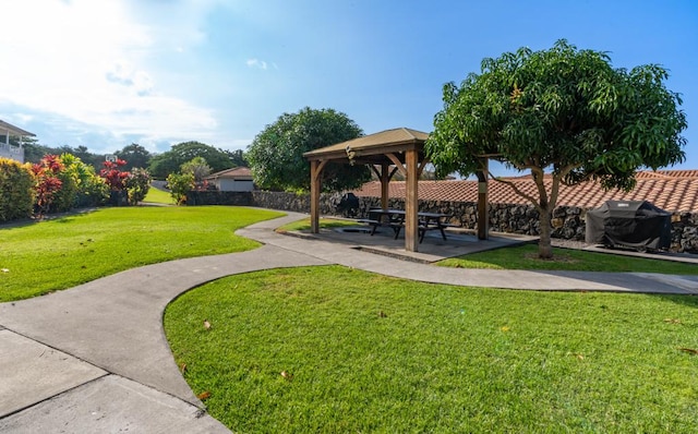 view of community with a yard