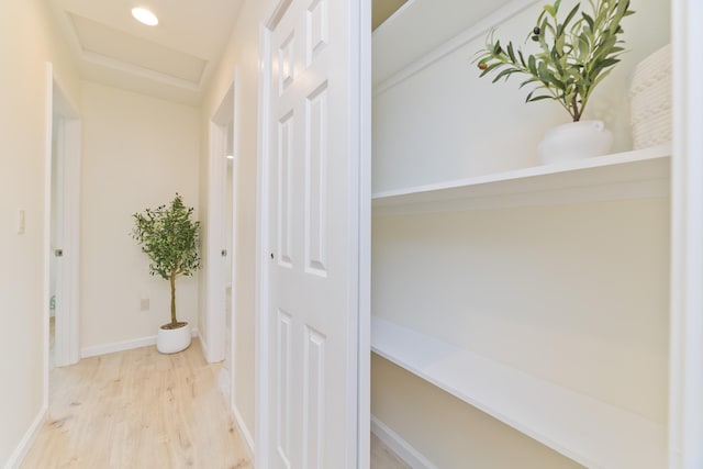 hallway with light hardwood / wood-style flooring