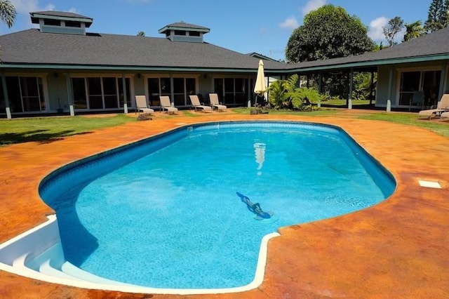 view of pool with a patio area