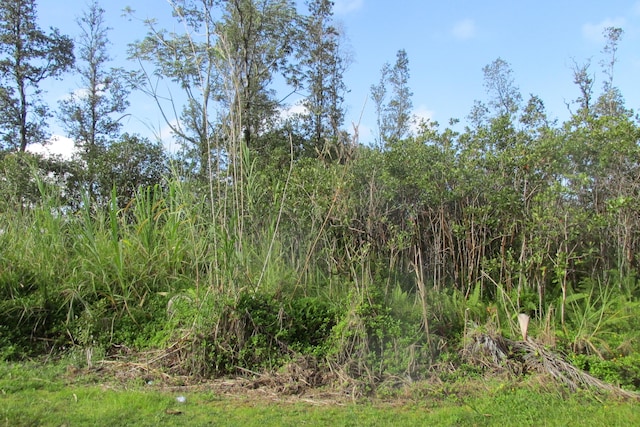 Listing photo 3 for Silversword Dr, Pahoa HI 96778