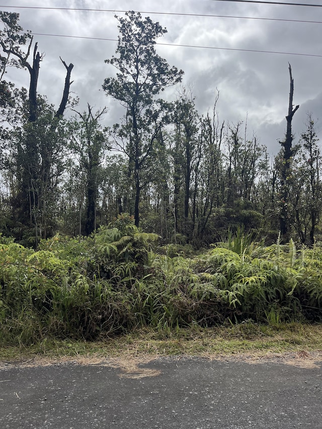 Listing photo 3 for Ohialani Rd, Volcano HI 96785