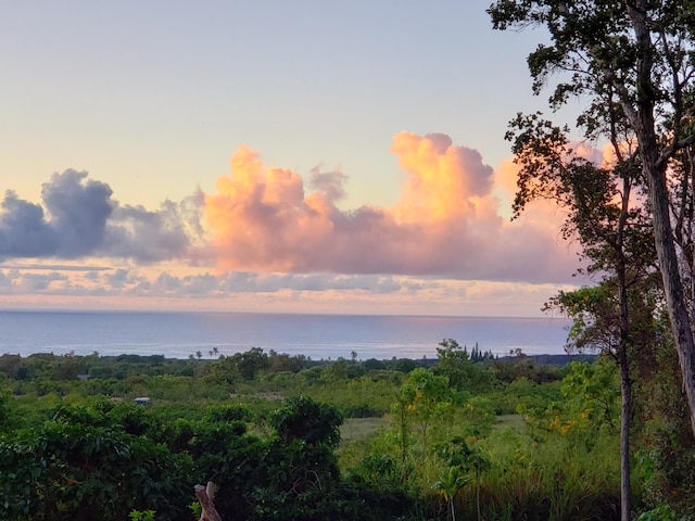 nature at dusk featuring a water view