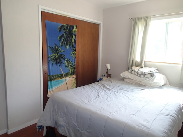 bedroom featuring wood-type flooring and a closet