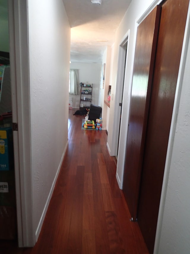 hall featuring dark wood-type flooring