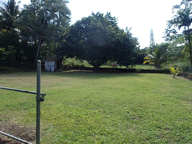 view of yard featuring a storage unit