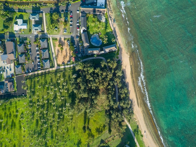 bird's eye view with a water view and a view of the beach