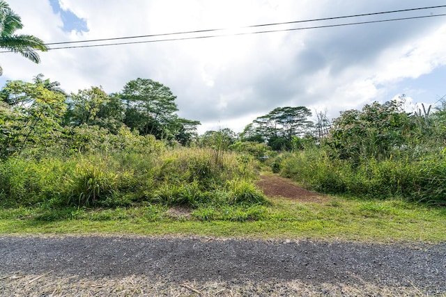 15-2060 12th Ave, Keaau HI, 96749 land for sale