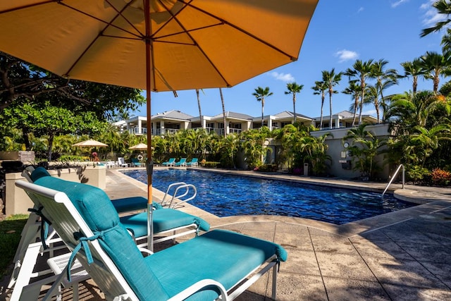 view of pool with a patio area