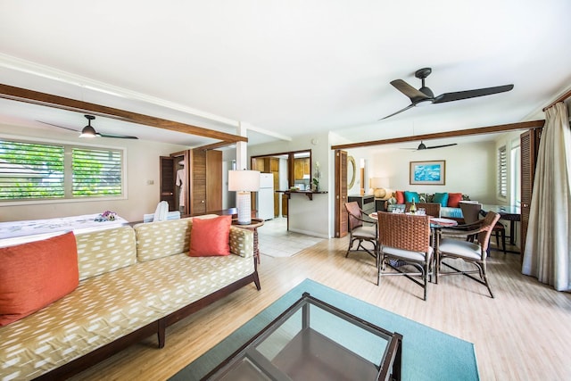 living room featuring ceiling fan, light wood-type flooring, and ornamental molding