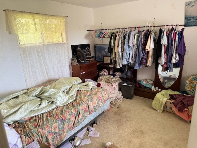 bedroom with carpet flooring