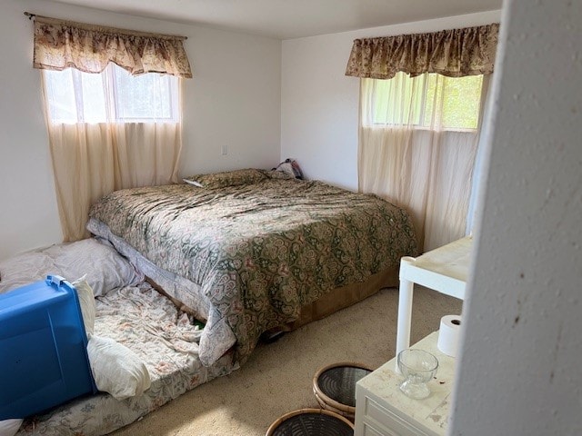 carpeted bedroom featuring multiple windows