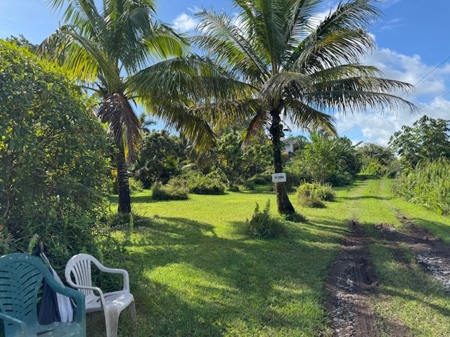 view of home's community with a yard