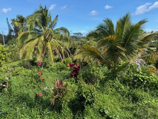 view of landscape