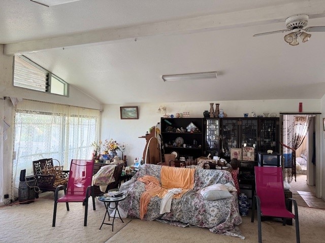 living room featuring ceiling fan, carpet, and lofted ceiling with beams