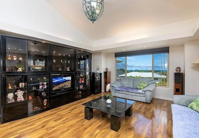 living area featuring lofted ceiling and wood finished floors