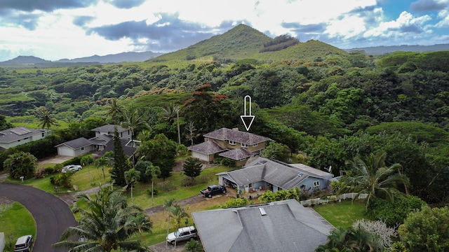 drone / aerial view featuring a mountain view