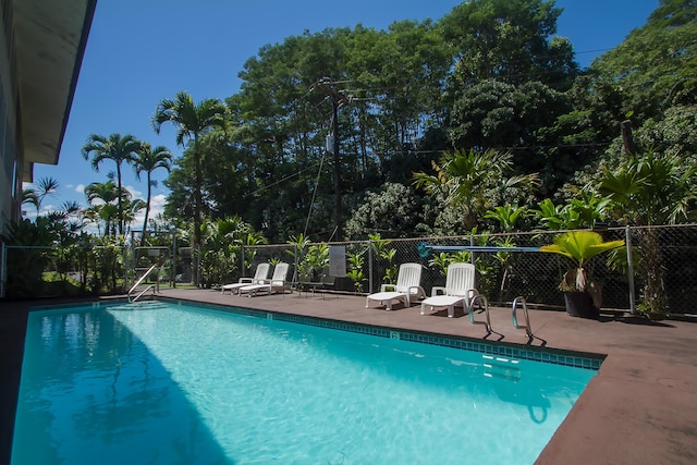 view of pool with a patio