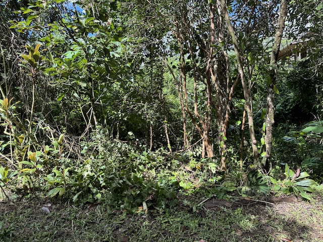 Puna St, Pahoa HI, 96778 land for sale