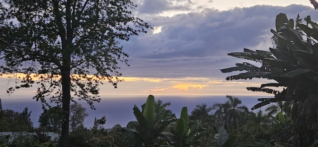 view of nature at dusk