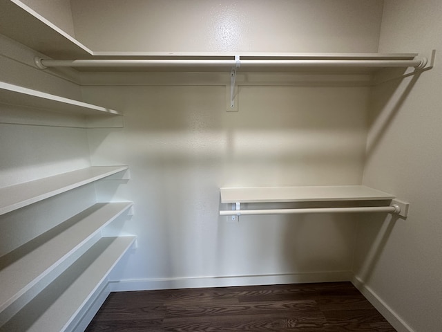 spacious closet with dark hardwood / wood-style flooring