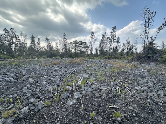 view of local wilderness