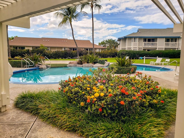 view of swimming pool