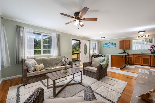 living room featuring ceiling fan, ornamental molding, sink, and light wood-type flooring