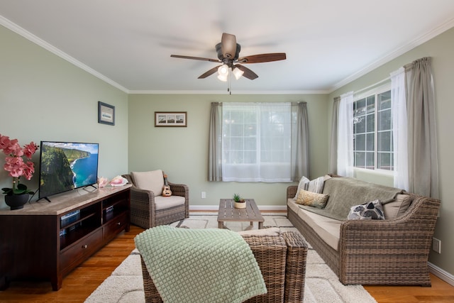 living room featuring crown molding, ceiling fan, and light wood-type flooring