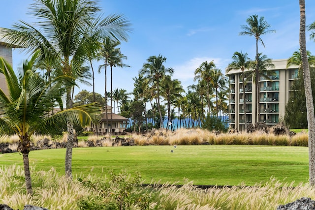 view of property's community featuring a yard