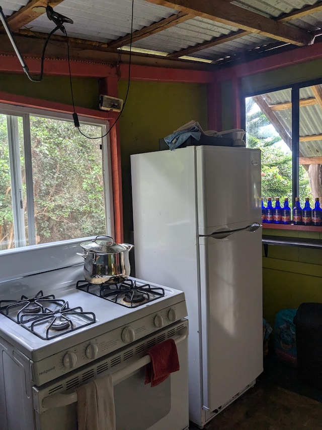 kitchen with white appliances and a healthy amount of sunlight