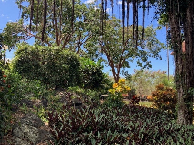 view of landscape