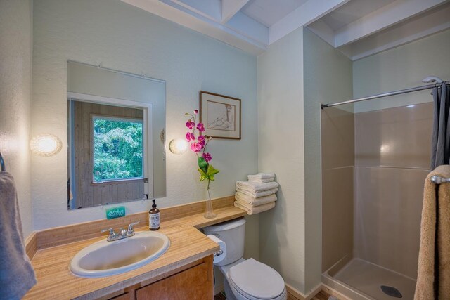 bathroom featuring toilet, walk in shower, and vanity